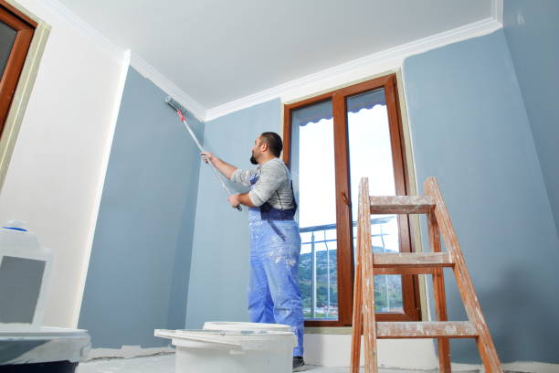 Best Cabinet Painting and Refinishing  in Palo Alto, CA